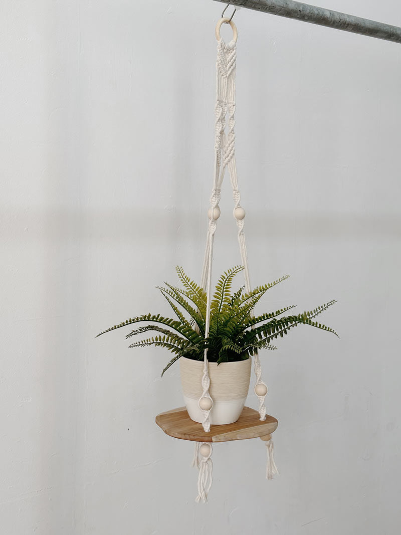 Blumenampel IV