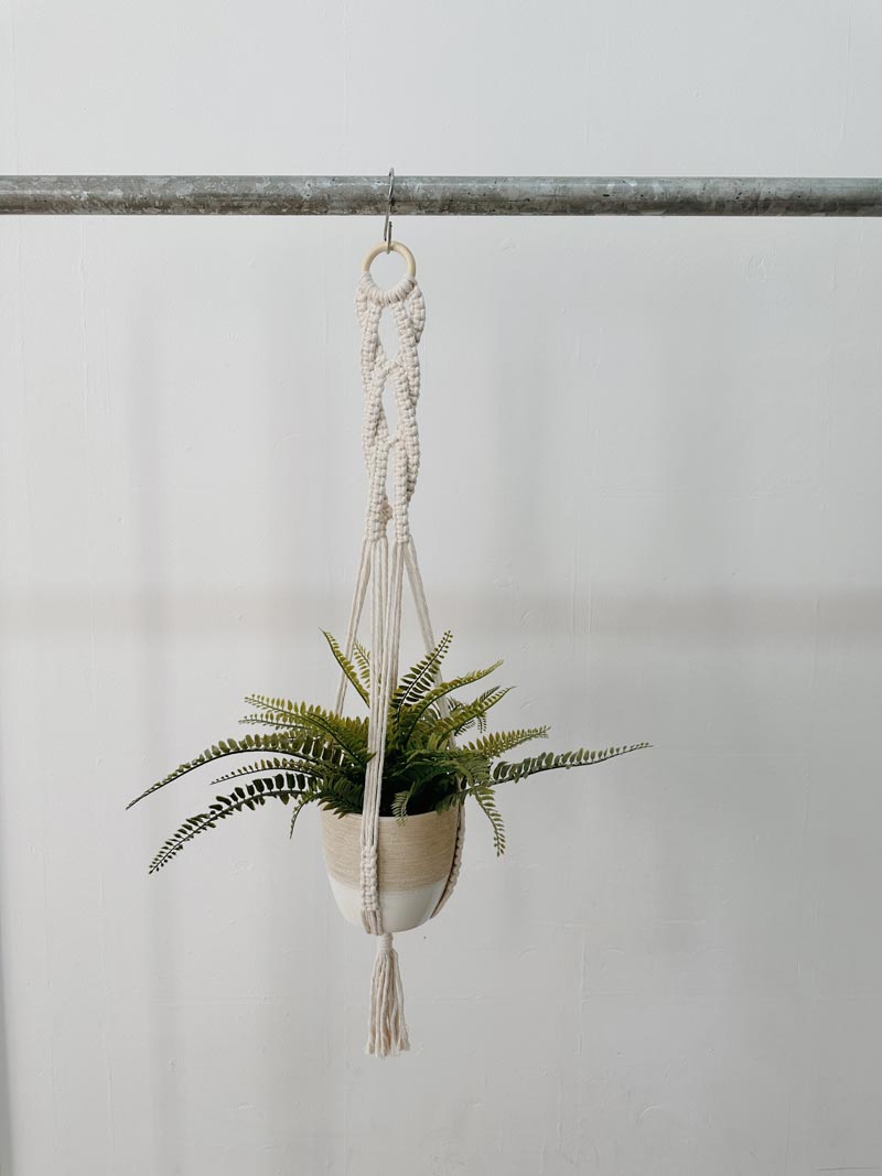 Blumenampel VI