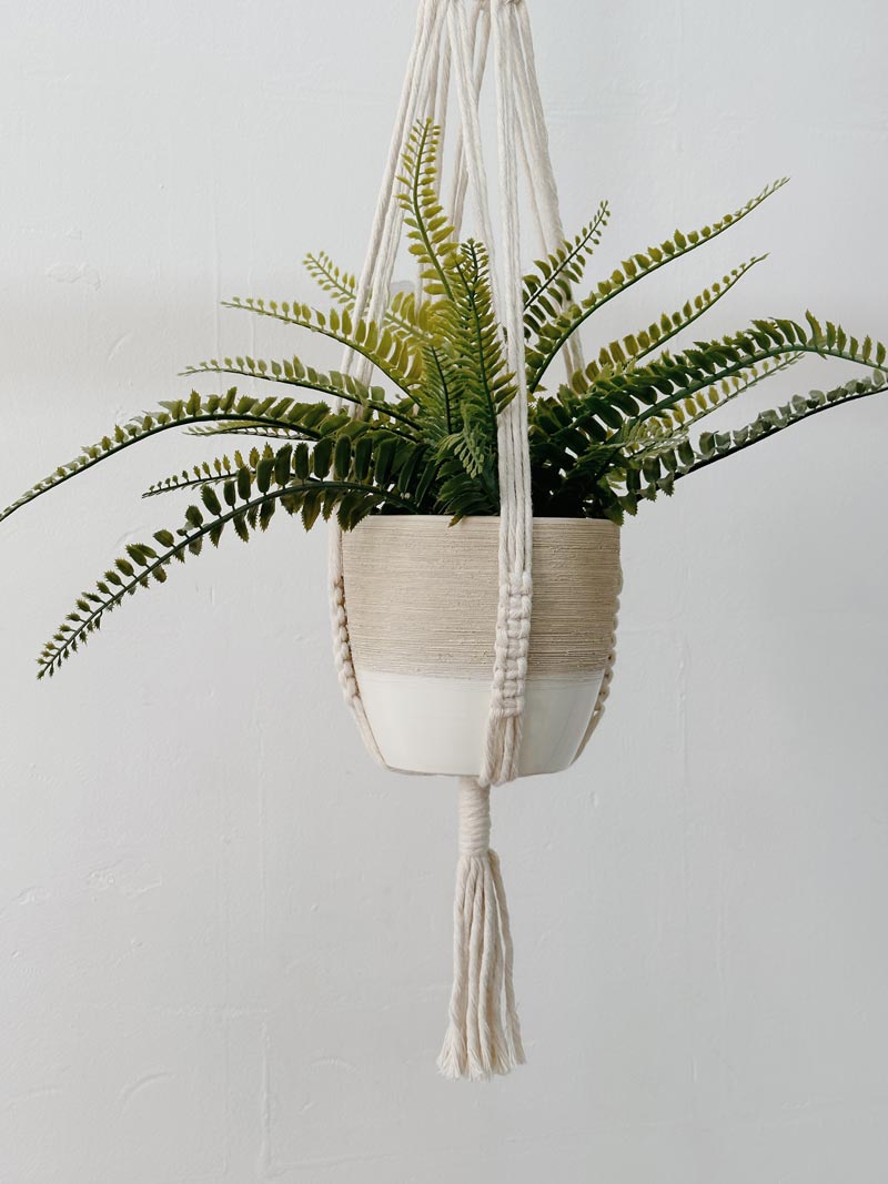 Blumenampel VI